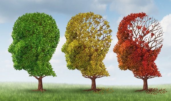 Alzheimer`s Stages of Alzheimer`s Disease