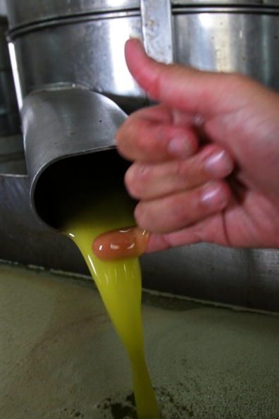 ¿Está utilizando el aceite de oliva falso?