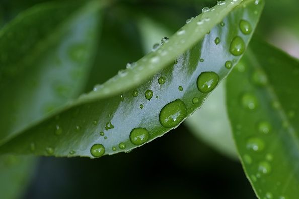 Área de la Bahía de Agua Inspectores Uso Monitor de agua
