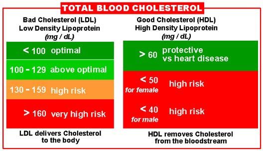 -nivel de colesterol en sangre
