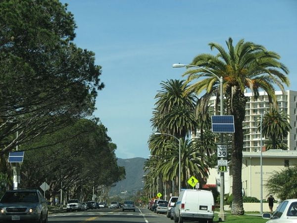 Palms alineados Ocean Avenue en Santa Mónica, cerca Maguerita Avenue.