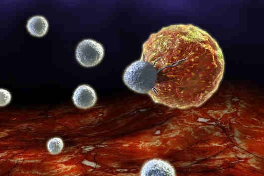 Las células cancerosas son tan penetrante debido a que son capaces de evadir la acción del sistema inmunológico.