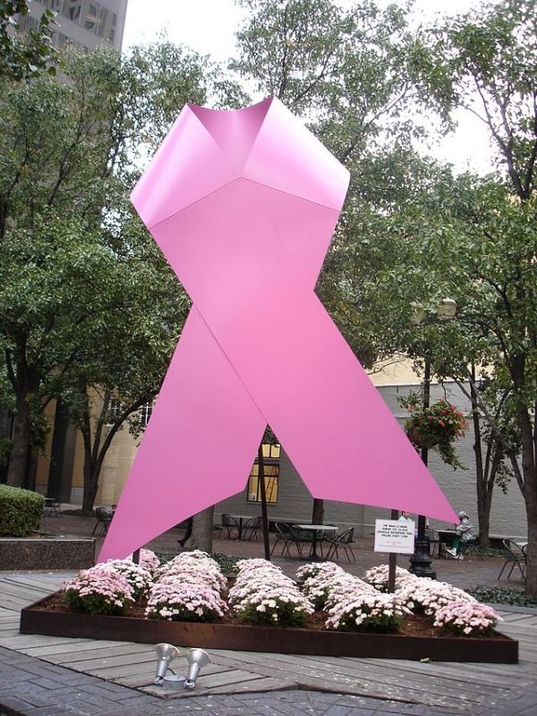 Soporte Café en washington va rosa para la conciencia del cáncer de mama