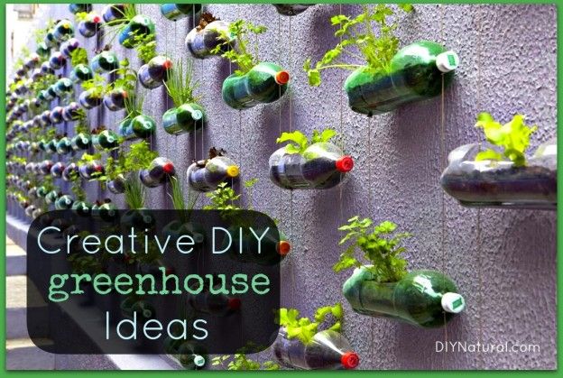 Ideas de efecto invernadero diy creativos e ingeniosos