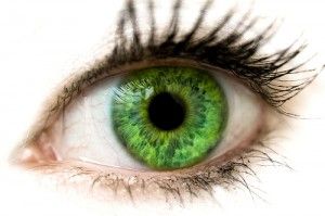 Diferentes colores de los ojos y lo que dicen sobre usted - verde