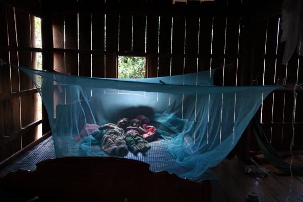 Los niños que duermen bajo un mosquitero tratado con insecticida, un practrice que ayuda a prevenir la propagación de la malaria