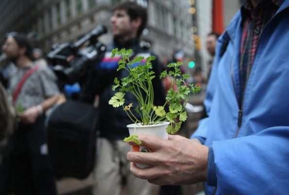 Activistas ambientales Demostrar En el Día de la Tierra en el Parque Zuccotti