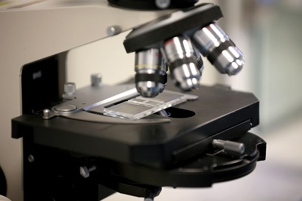 Microscopio