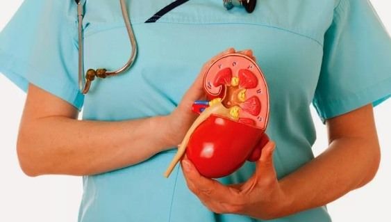 Remedios caseros para la infección del riñón Naturalmente