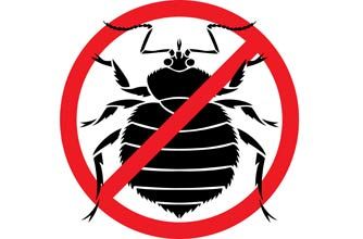 Evite los insectos de cama Prevención de los insectos de cama