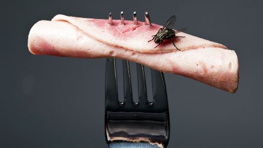 ¿Cómo deshacerse de Fruit Flies en La Cocina