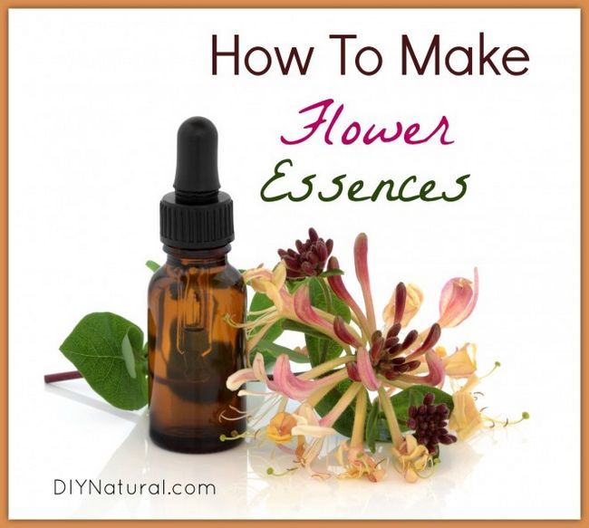 Cómo hacer la flor de Essenses