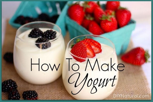 Cómo hacer delicioso yogur casero