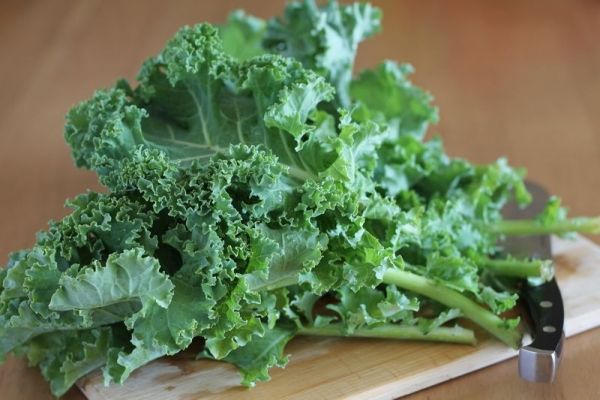 Productos de belleza a base de Kale ya están disponibles en el mercado.