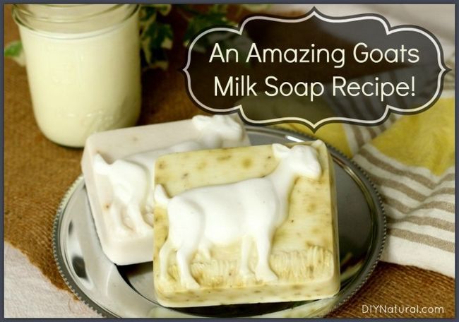 Receta Goats Milk Soap