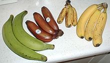 Laxantes naturales que pueden ayudar a combatir el estreñimiento sin usar medicamentos: plátanos, manzanas, melones