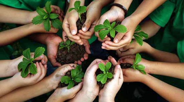 Necesidad de la educación ambiental para escolares: 7 razones importantes