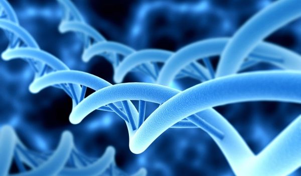 Nuevo estudio del genoma a gran escala podría ayudar a curar enfermedades en el futuro de la infancia