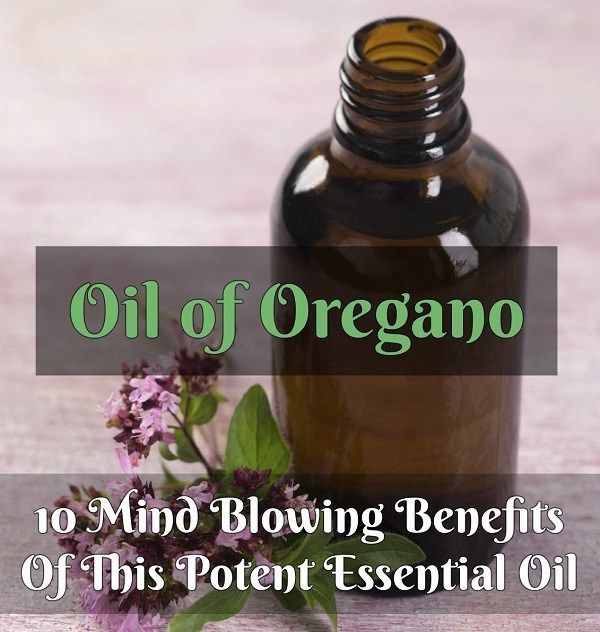 El aceite de orégano: 10 Mind Blowing beneficios de este aceite esencial potente