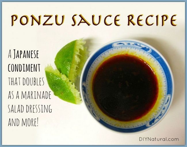 Ponzu receta de la salsa - un condimento japonés y más