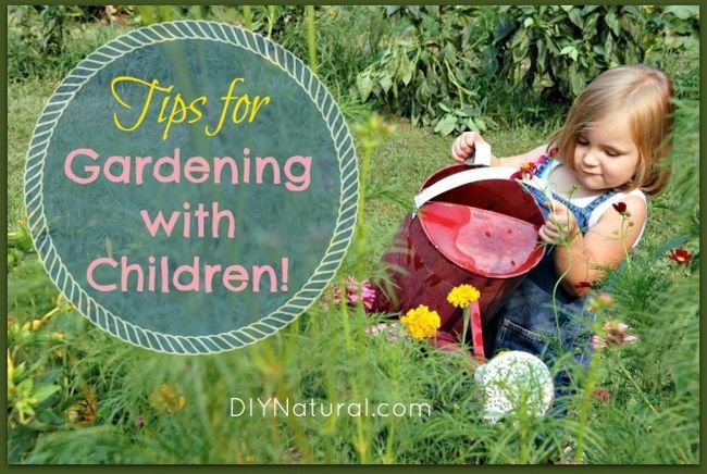 Siete consejos para que los niños que participan en el jardín