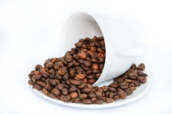 La producción de cafeína resulta ser uno de los mejores ejemplos de la selección natural y la evolución.