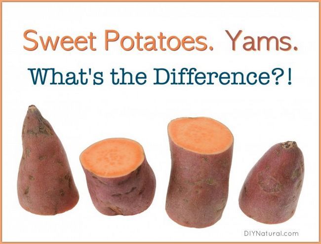 Las batatas y ñames, ¿hay alguna diferencia?