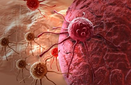 Los investigadores sugieren que el cáncer es el cuerpo`s way of going into safe mode when faced with an external health threat.