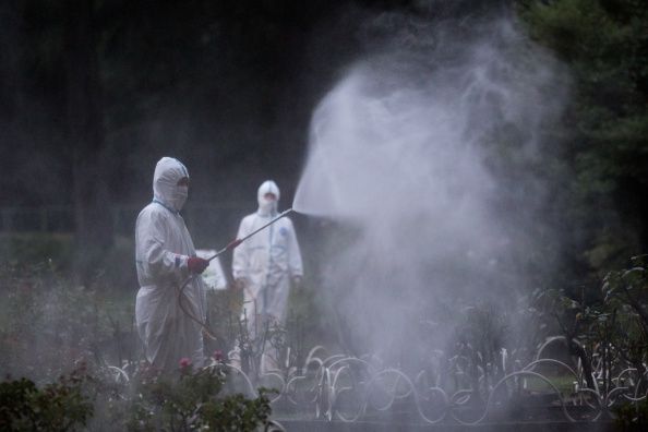 Japón hace frente a Primera Fiebre Dengue Caso En casi 70 años