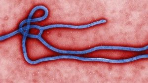 10 Esenciales-Hechos-Sobre-Ébola-722x406