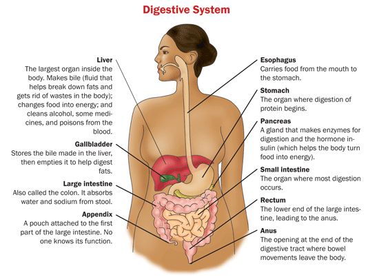 Crohn`s disease is an inflammatory condition of the intestines. 