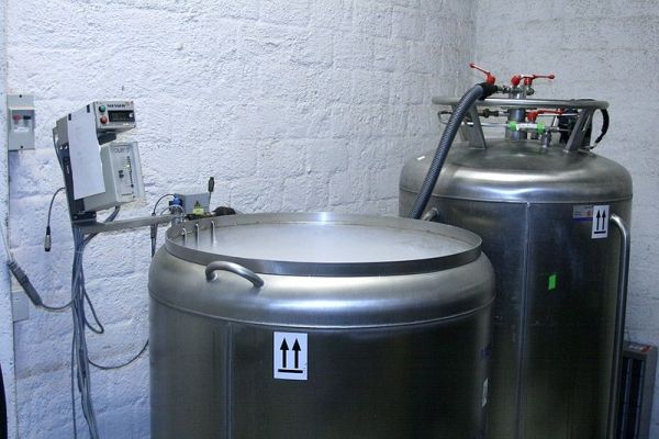 Abra el contenedor criopreservación conectada con el depósito lleno de nitrógeno líquido para suministro automático de nitrógeno líquido. La temperatura del contenedor se controla mediante un programa basado en ordenador.