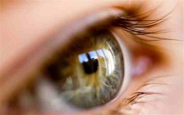 Células epiteliales de la retina cultivadas a partir de células madre embrionarias fueron capaces de restaurar la visión a los pacientes que se encontraban legalmente ciego.