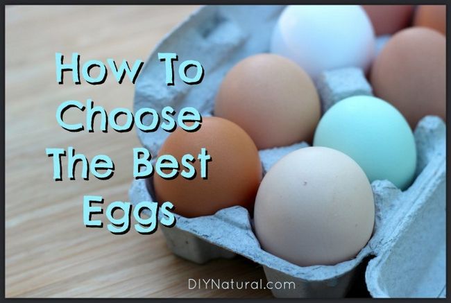 Lo que realmente hace un buen huevo y saludable?