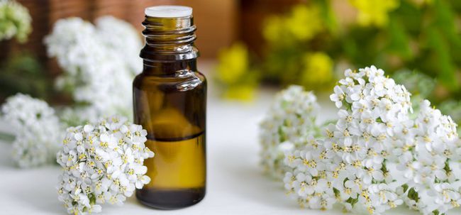 10 Salud y belleza increíble beneficios de Yarrow aceite esencial