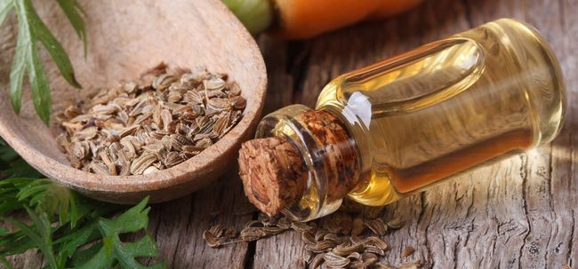 10 Beneficios para la salud asombrosos de aceite de semilla de apio
