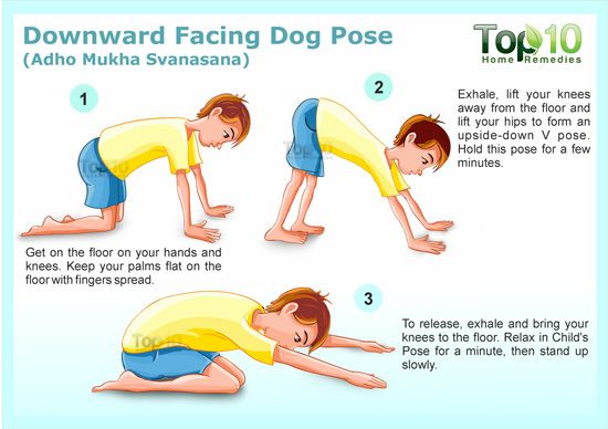 perro boca abajo pose de yoga