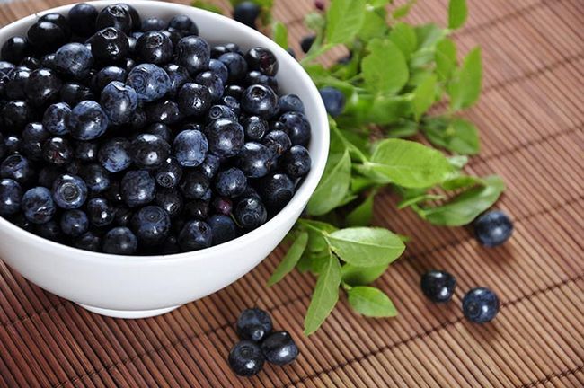 Los arándanos son frutos