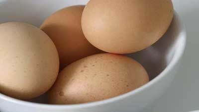 mejores acondicionadores de huevo