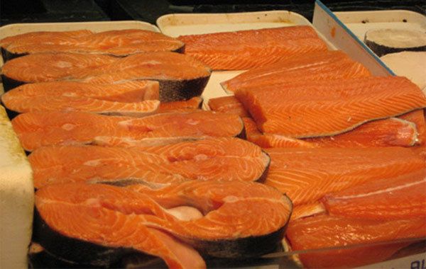 salmón