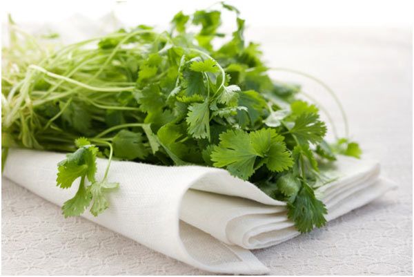 Mejores Beneficios de Cilantro