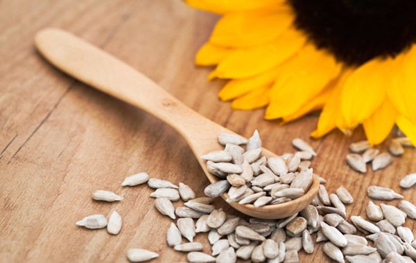 beneficios para el cabello de aceite de girasol