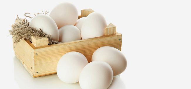 20 razones para incluir huevos en su dieta