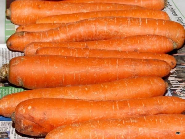 Jugo de zanahoria para la atención prenatal