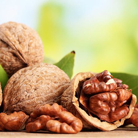 nueces