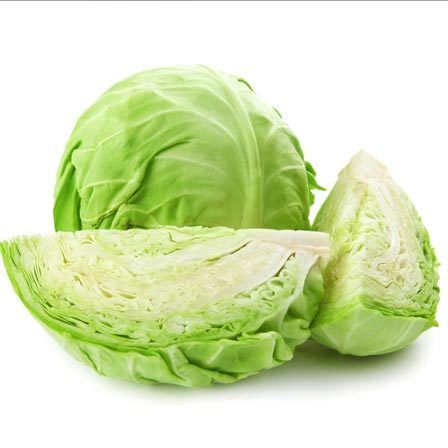 repollo