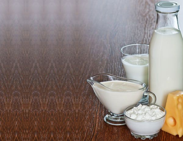 productos lácteos