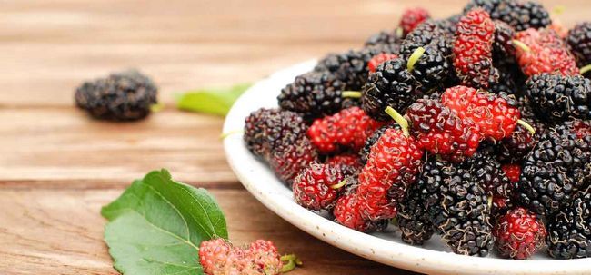 6 inesperados efectos secundarios de Mulberry
