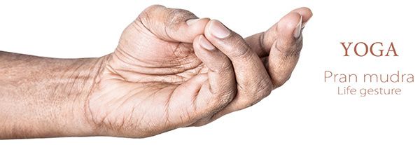 técnica mudra prana