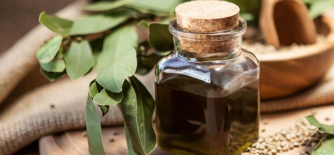 9 Beneficios y usos del aceite de semilla de cáñamo Salud asombrosos
